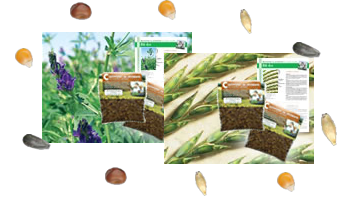 Les sachets de semences