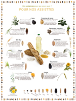 Poster Des semences pour nos assiettes