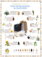 Poster Des semences pour notre maison au quotidien