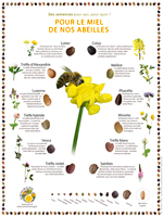 Poster Des semences pour le miel de nos abeilles