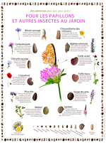 Poster Des semences pour les papillons et autres insectes au jardin