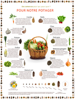 Poster Des semences pour notre potager