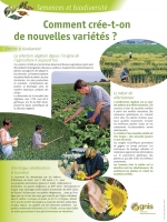 Comment cr�e-t-on de nouvelles vari�t�s�?