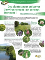 Des plantes pour pr�server l'environnement�: un concept �tonnant�!