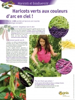 Haricots verts aux couleurs d�arc en ciel !