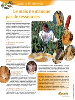 Le ma�s ne manque pas de ressources