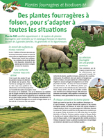 Des plantes fourrag�res � foison, pour s'adapter � toutes les situations