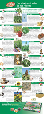 Poster Les plantes agricoles de nos r�gions