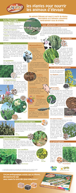 Poster Les plantes pour nourrir les animaux d'�levage