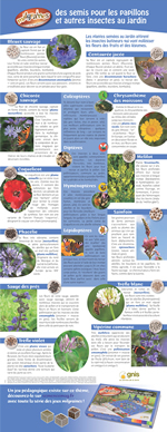 Poster Des semis pour les papillons et autres insectes au jardin