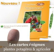 Nouveau : les cartes &eacute;nigmes Plantes potag&egrave;res et Plantes agricoles