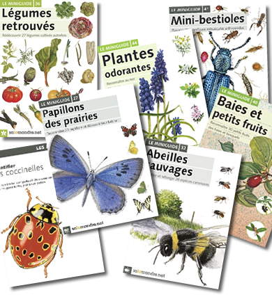 Miniguides de la Salamandre