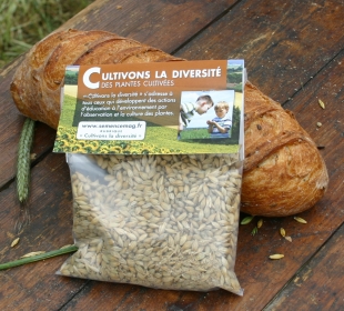 Du grain au pain...