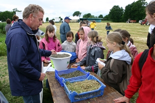 Des plantes cultiv�es pour les animaux
