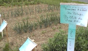 Le Potager des Bons amis pour d�couvrir les plantes potag�res