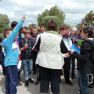 Groupe d'�l�ves sur une ferme du r�seau Le Savoir Vert. Les questions fusent...