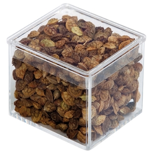 V�ritable bo�te de semences de sainfoin