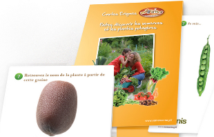 Tout savoir sur le coffret de cartes &eacute;nigmes d&eacute;di&eacute; aux plantes potag&egrave;res