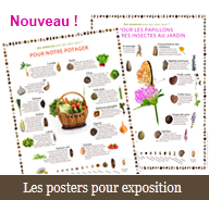 Nouveau : les posters Des semences pour qui, pour quoi ?