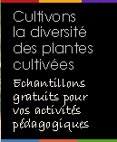 Echantillons gratuits de semences - offre r&eacute;serv&eacute;e aux animateurs nature