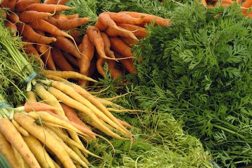 Lire :La carotte, un légume qui nous veut du bien 