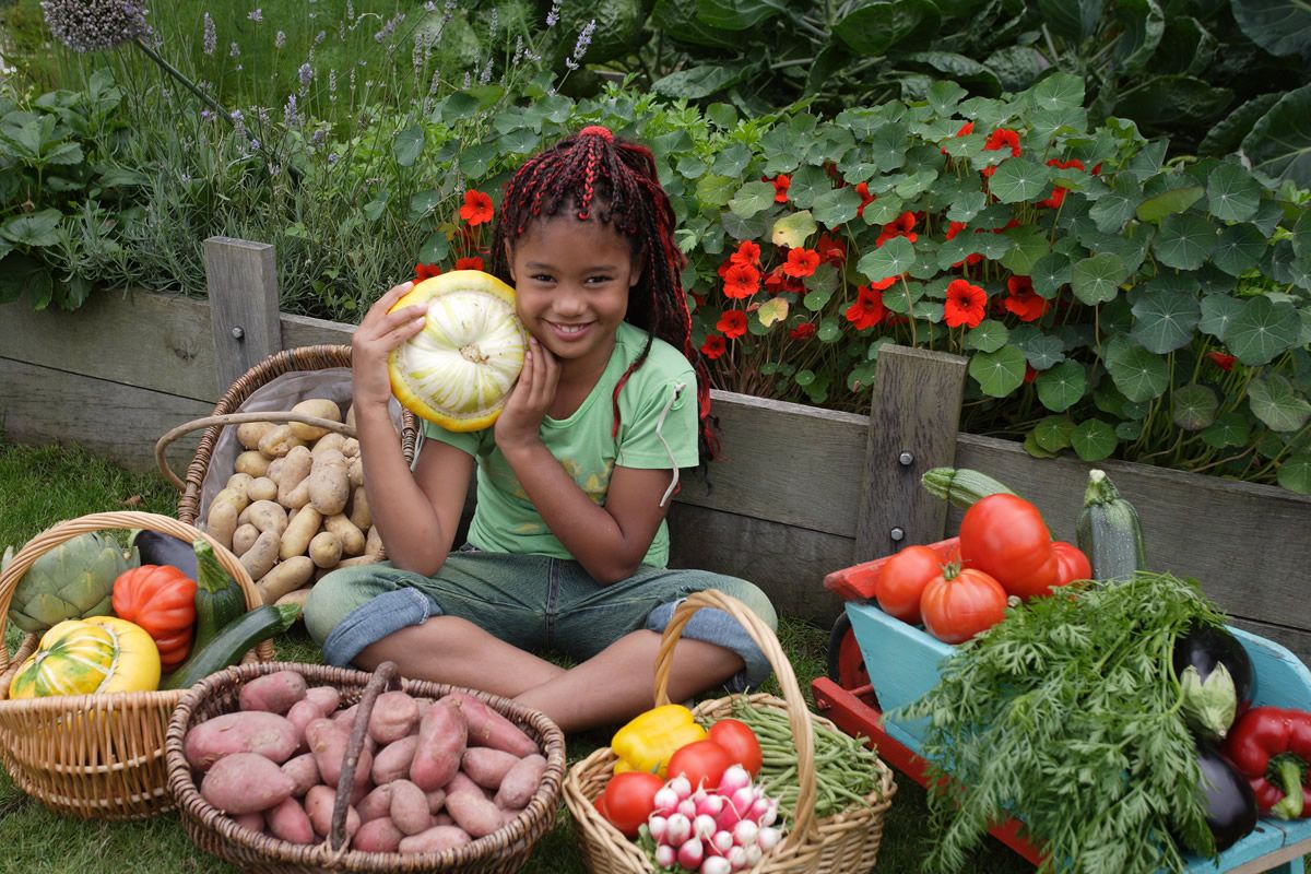 Enfant ayant récolté des légumes dans un jardin potager © Gnis-Yves Lanceau