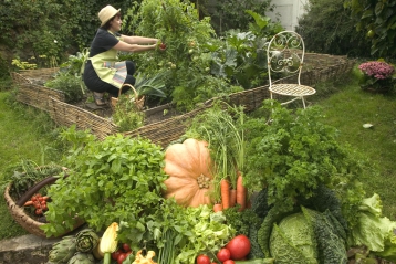 Lire :Des légumes variés, la meilleure des assurances santé