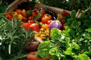  © Ferme de Sainte Marthe