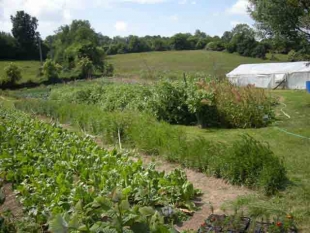 Jardin d'insertion de Lisieux