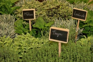 Des plantes pour aider le jardinier