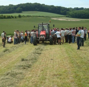 Tous autour de l'herbe !