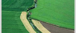 Bandes en herbe<br />une protection au long cours... pour les cours d'eau