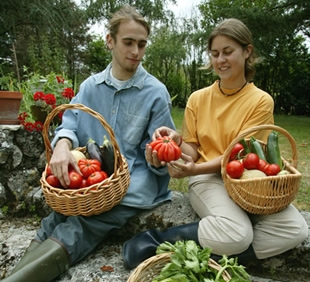 Les anciennes variétés de légumes ont-elles toutes disparu ?