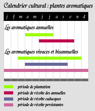 Votre potager en quête de sens