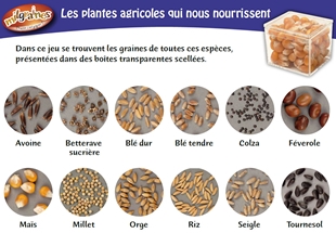 Retrouver le coffret jeu <a href=acheter-semences-graines.php?page=panier-articles&type_url=jeux-educatifs&numarticle=48>Les plantes agricoles qui nous nourrissent</a> dans la boutique Semencemag !