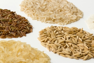 Diversité de riz Crédit Photo : Sébastien Champion
