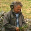 Bruno Osson - Technicien communication sur les plantes fourragères et environnementales au GNIS