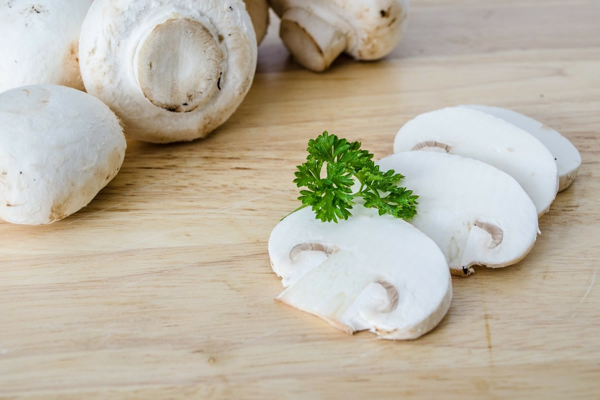 La culture de champignons, un long savoir-faire français