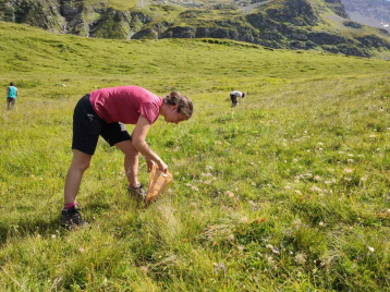 Lire :Des espèces sauvages et locales pour restaurer les écosystèmes