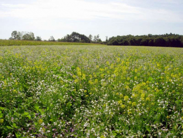 Lire :L’agriculture, une solution pour stocker le carbone