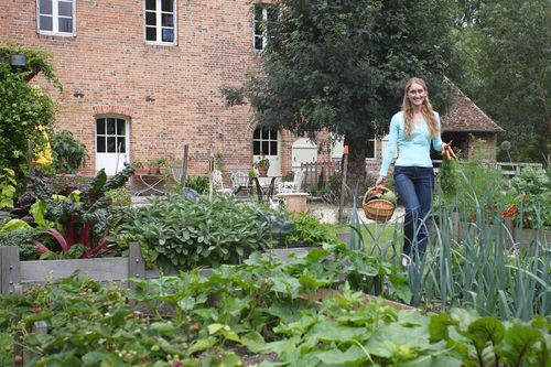 Lire :Qui sont les légumes « hybrides F1 » de mon jardin ?