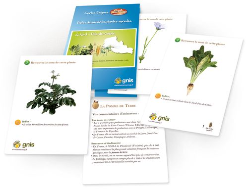Lire :Faites découvrir les plantes agricoles du Nord-Pas-de-Calais