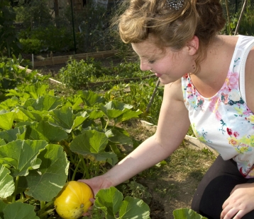 Lire :Peut-on faire du Bio dans son jardin ? 