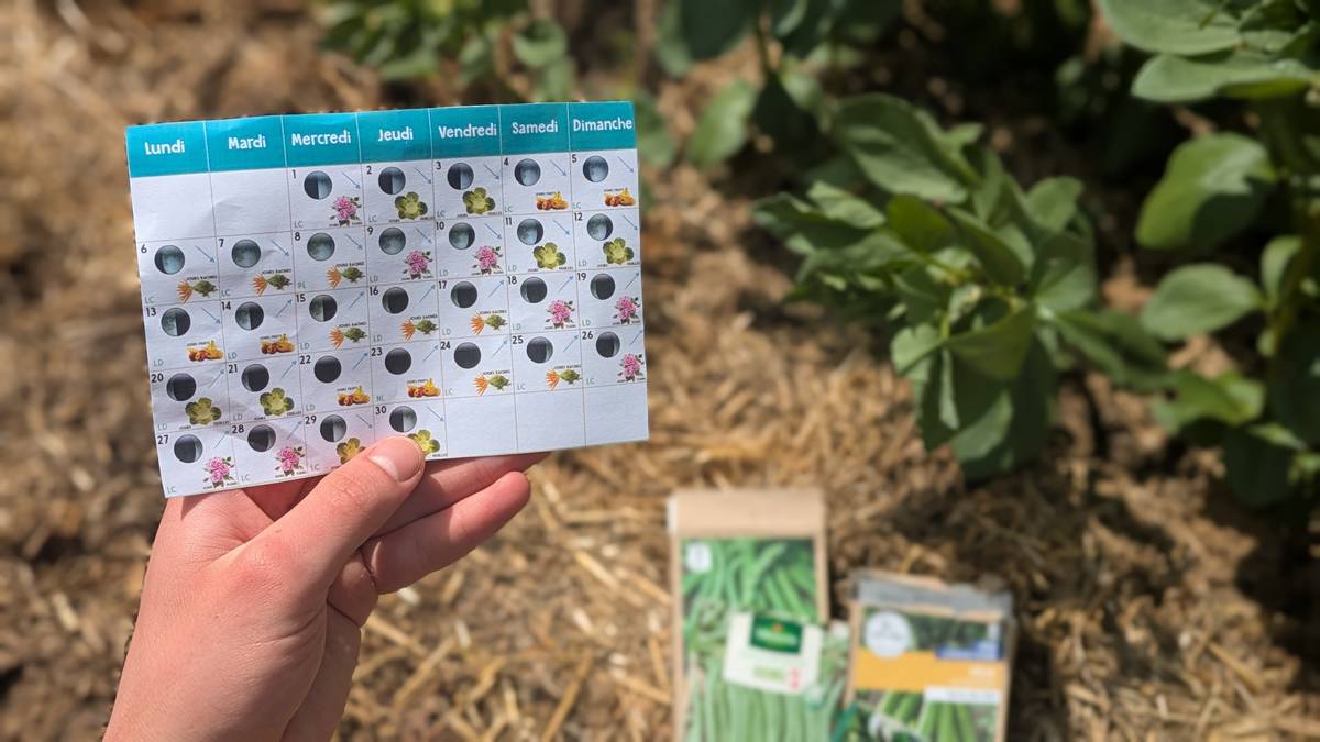 De nombreux jardiniers utilisent un calendrier lunaire pour jardiner. © Anne Gilet