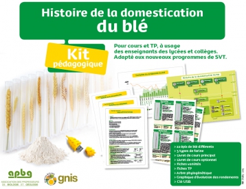 Lire :Kit pédagogique - Histoire de la domestication du blé