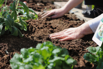 Lire :Des jardins thérapeutiques pour améliorer la santé