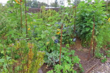 Lire :Concours national des jardins potagers : le palmarès 2023 dévoilé !