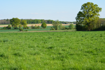 Lire :Un coup de frais avec l'albédo des prairies