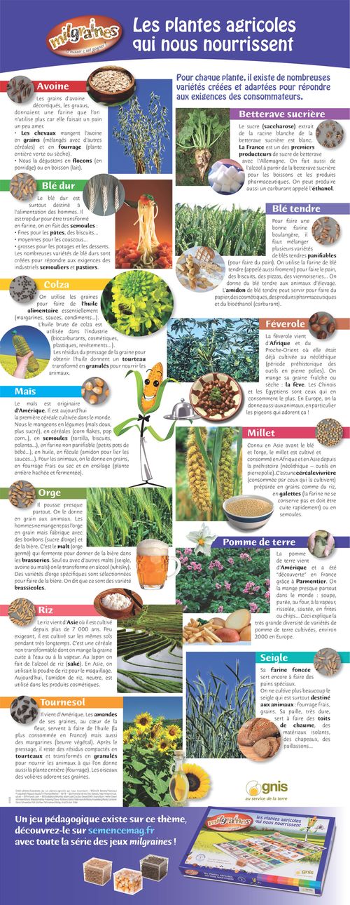 Lire :Les plantes agricoles qui nous nourrissent