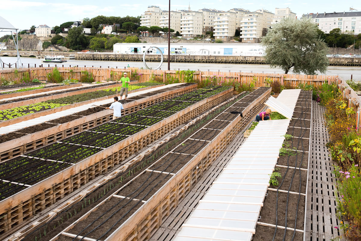 Lire : L'agriculture urbaine redessine les villes